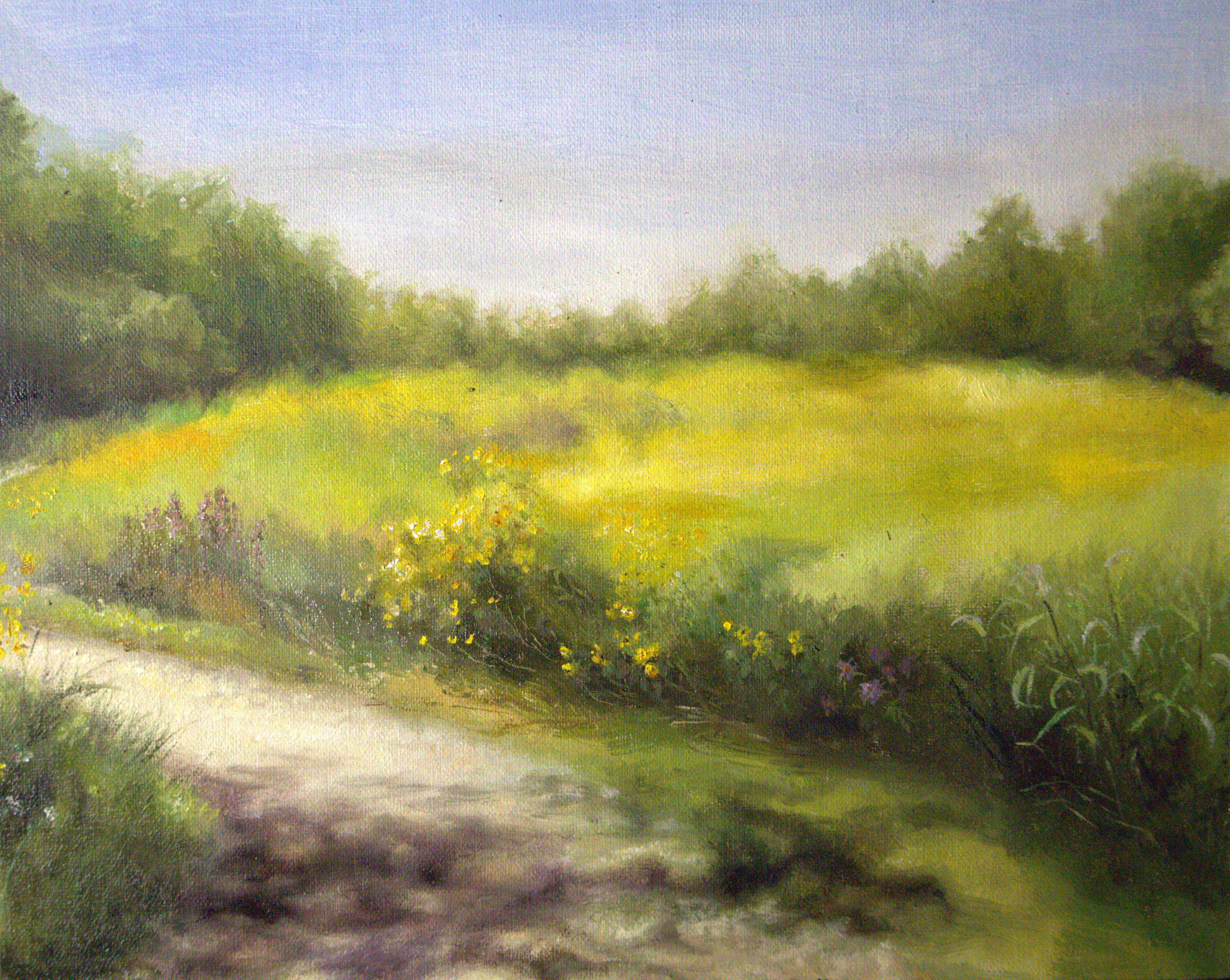Sunny Day Meadow