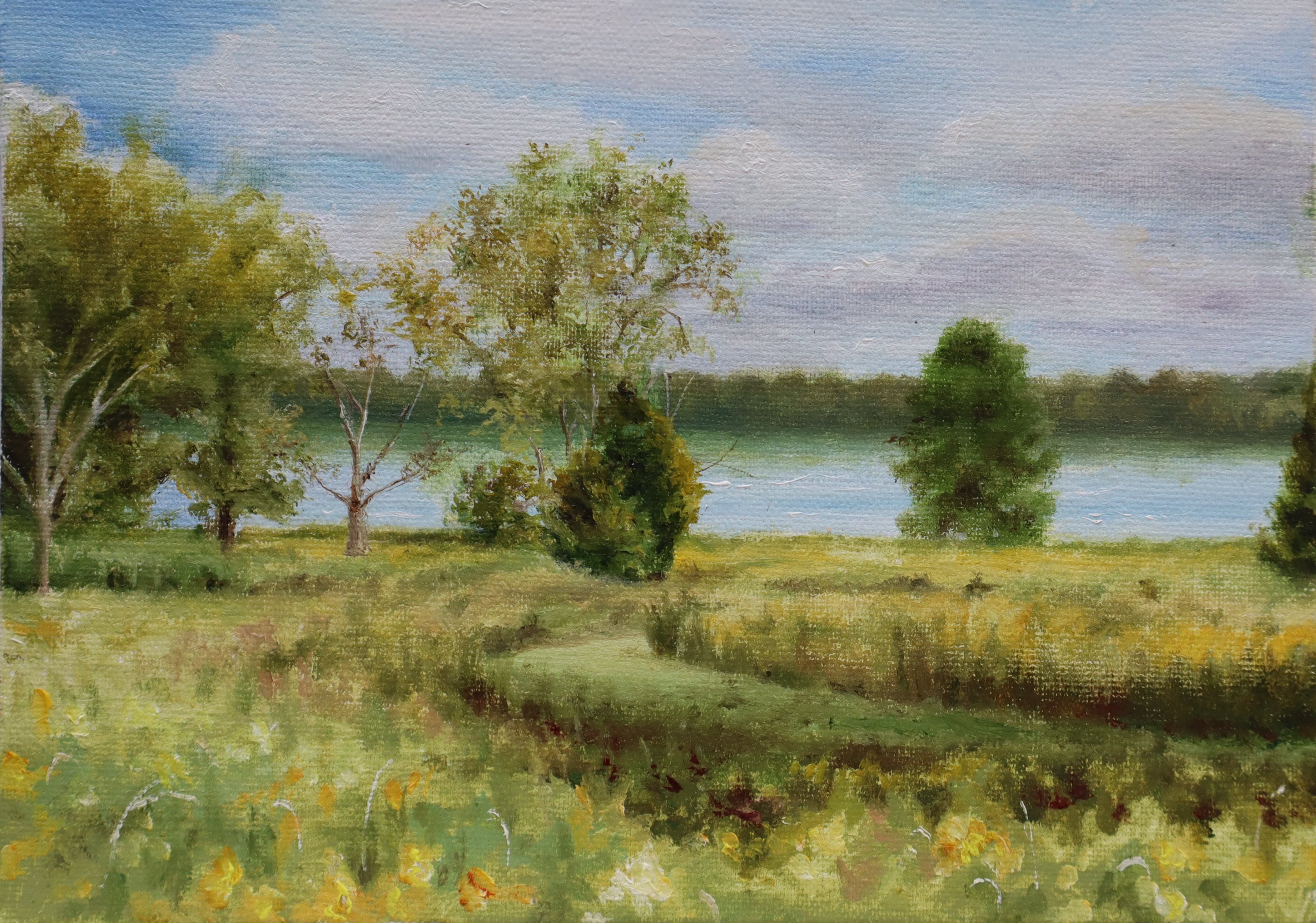 Grassy Path